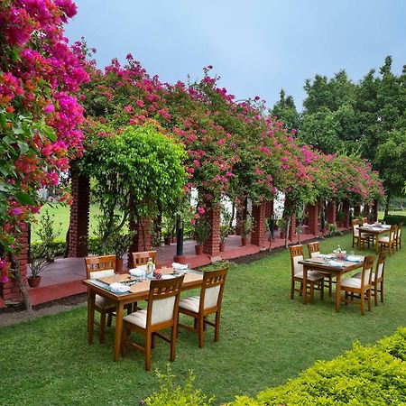Отель Naturoville Ayurvedic And Yoga Retreat Ришикеш Экстерьер фото