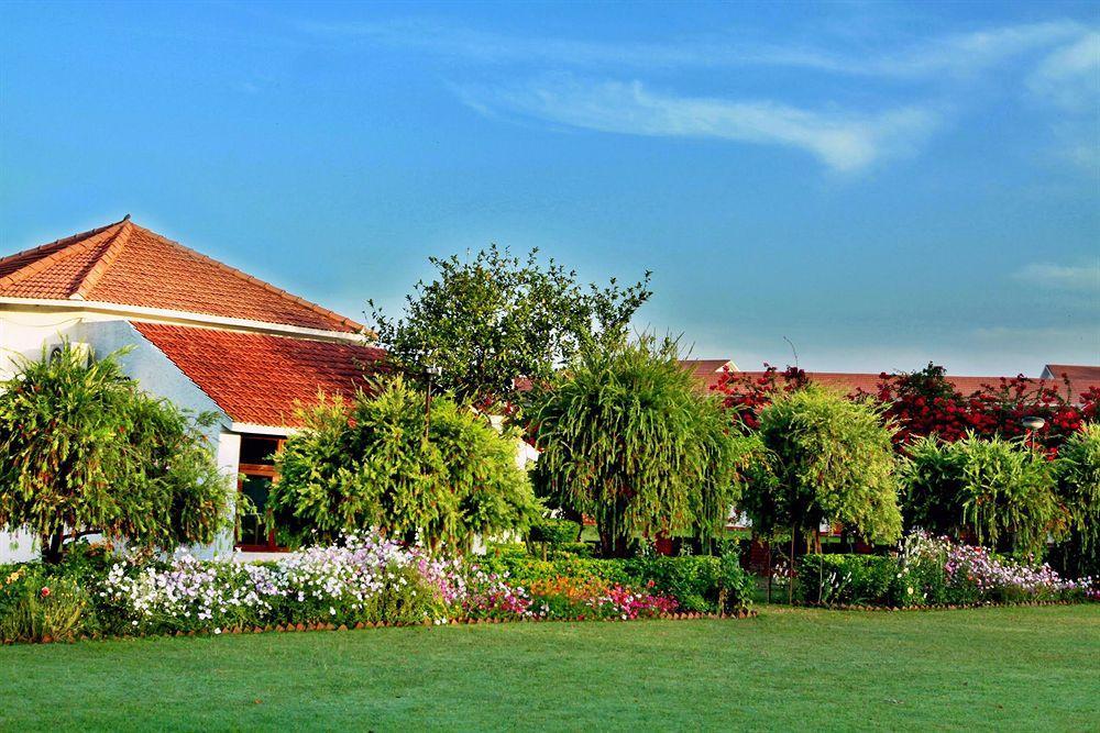 Отель Naturoville Ayurvedic And Yoga Retreat Ришикеш Экстерьер фото
