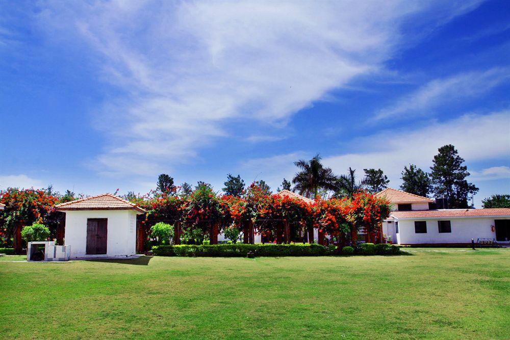 Отель Naturoville Ayurvedic And Yoga Retreat Ришикеш Экстерьер фото