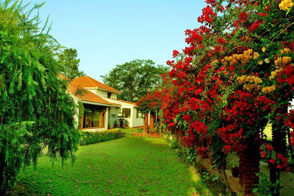 Отель Naturoville Ayurvedic And Yoga Retreat Ришикеш Экстерьер фото