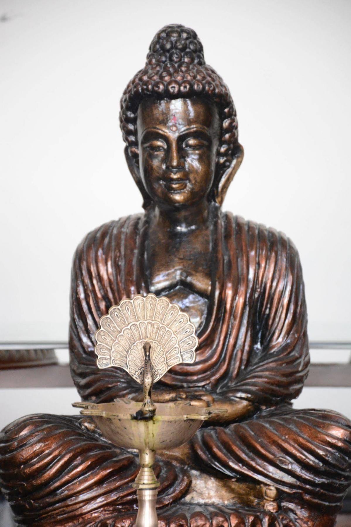 Отель Naturoville Ayurvedic And Yoga Retreat Ришикеш Экстерьер фото