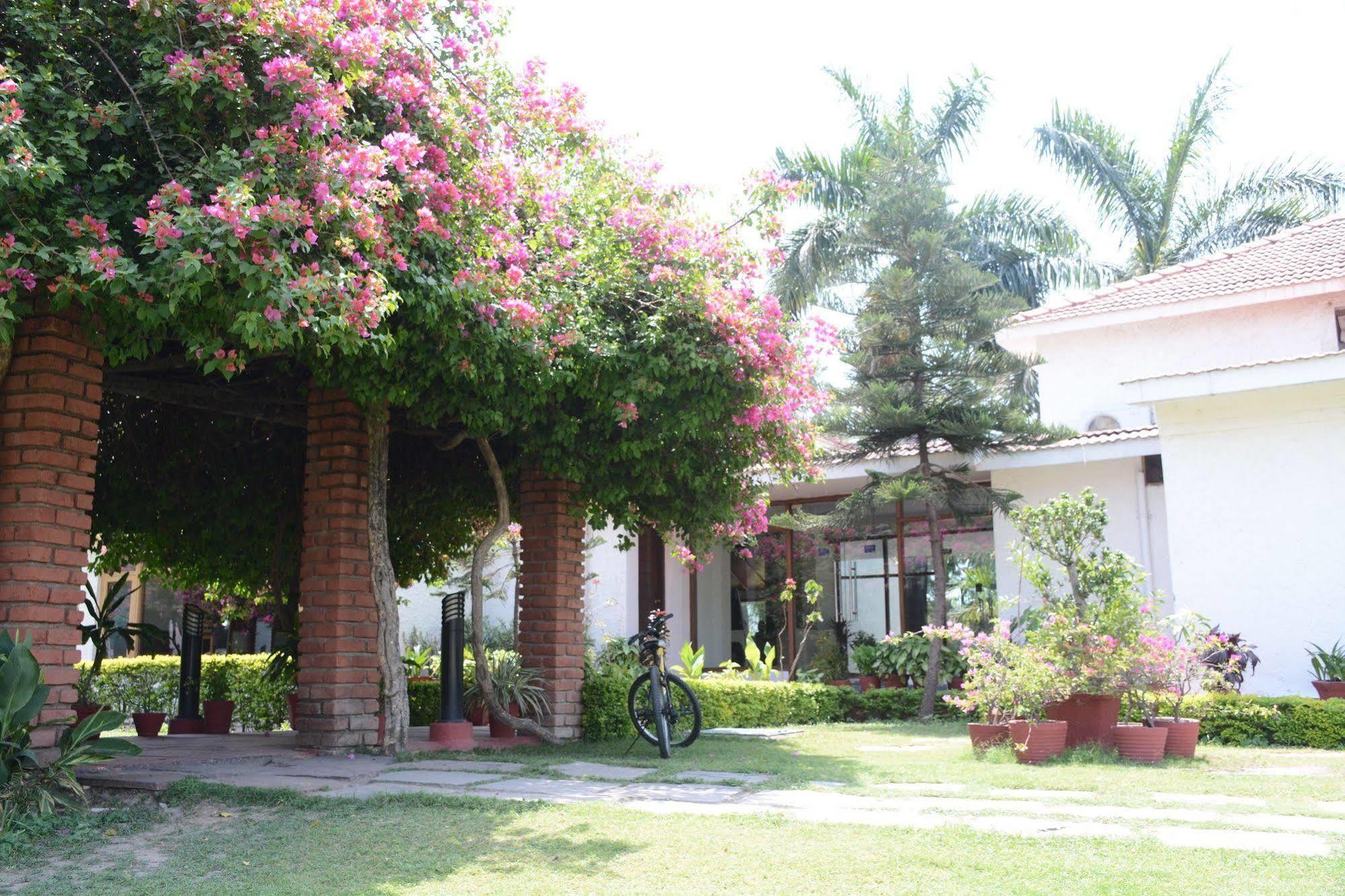 Отель Naturoville Ayurvedic And Yoga Retreat Ришикеш Экстерьер фото