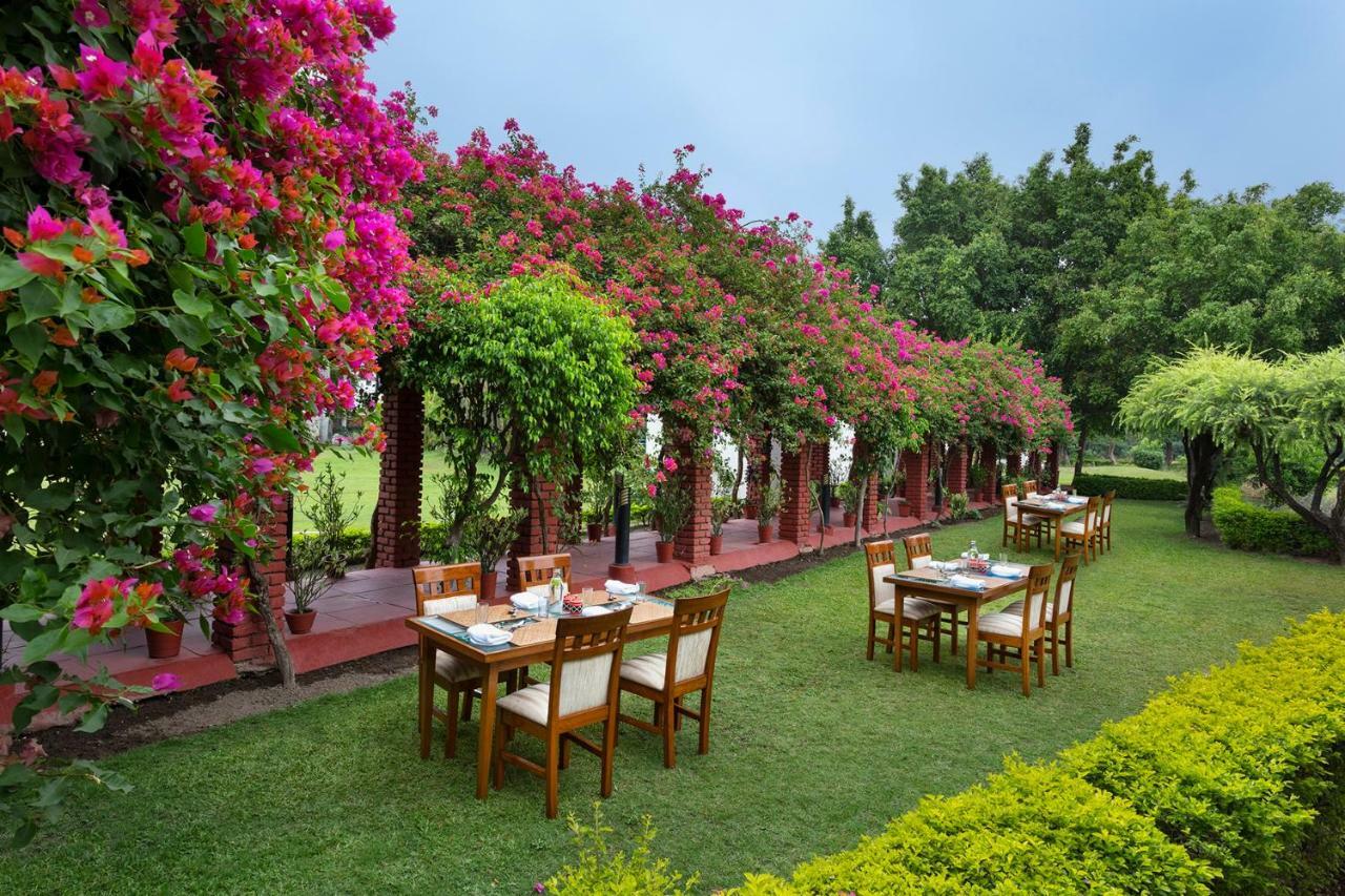 Отель Naturoville Ayurvedic And Yoga Retreat Ришикеш Экстерьер фото